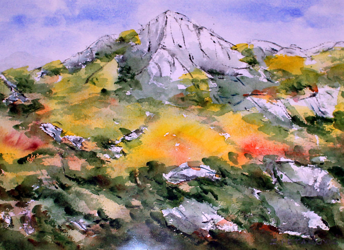 Zvonko Petanović Slavonski Brod